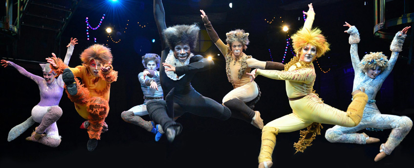 Cats Show 